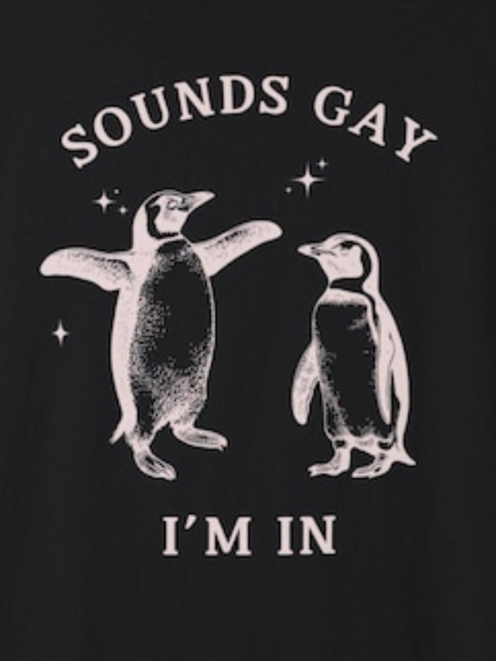 GAY PENGUIN SHIRT, Sounds Gay I'm In, Queer Shirt - Picture 2 of 4